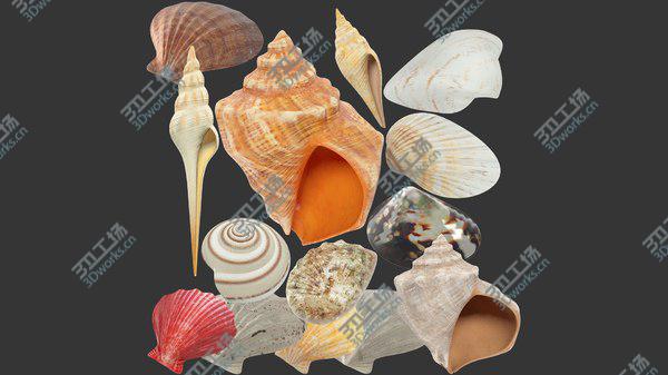 images/goods_img/20210312/3D Seashells Collection V2 model/1.jpg